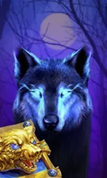 Book Of The Night Wolf