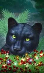 Blue Panther -CE